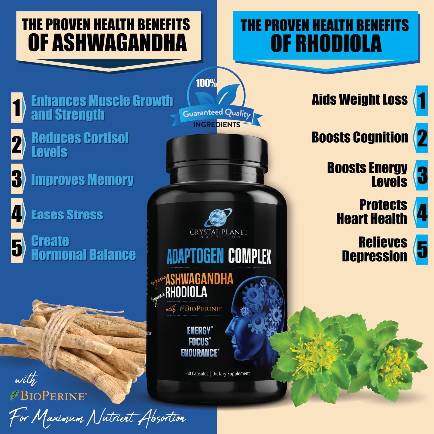 Organic Ashwagandha, Rhodiola Rosea, Black Pepper Extract to Improve Energy and Endurance, Adrenal and Thyroid Support, Anxiety Relief, Mood Enhancer, Cortisol Manager & Sleeping Support 60 Capsules
