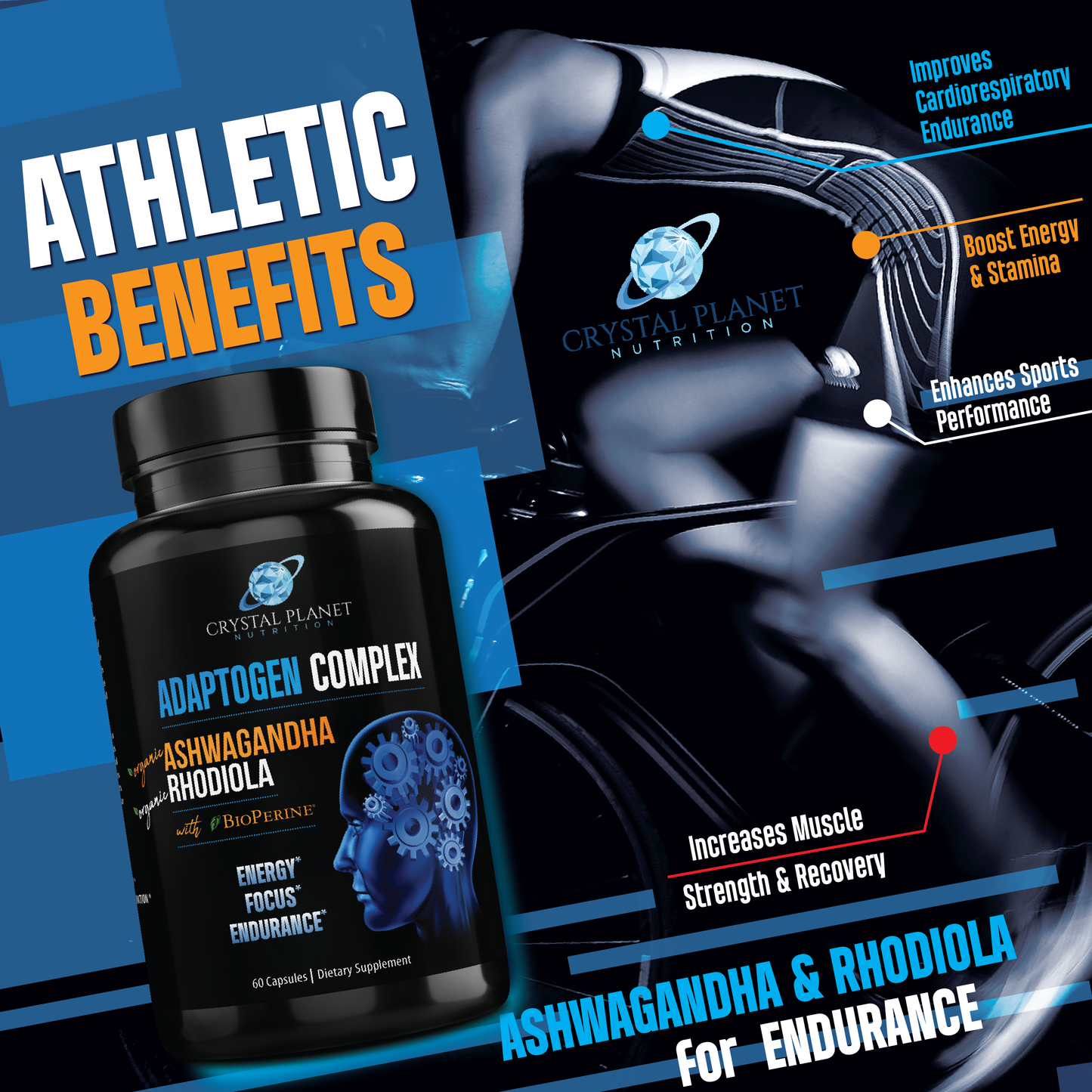 Organic Ashwagandha, Rhodiola Rosea, Black Pepper Extract to Improve Energy and Endurance, Adrenal and Thyroid Support, Anxiety Relief, Mood Enhancer, Cortisol Manager & Sleeping Support 60 Capsules